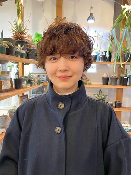 サイズ(cyez) 【渡部】まるいマッシュパーマ