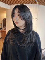 ブリッツレボルト(BLITZ R EVOLUT) high layer .