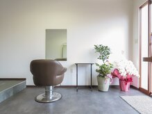 コカ(CoKa)の雰囲気(日当たりの良い明るい雰囲気)