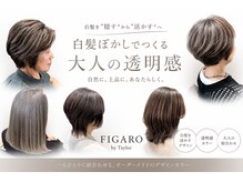 フィガロ バイ テイラー(FIGARO by Taylor)