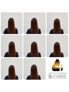 ブルーフィン シセロ(Blue Fin cicero) ケアから元気と幸せを提供します!