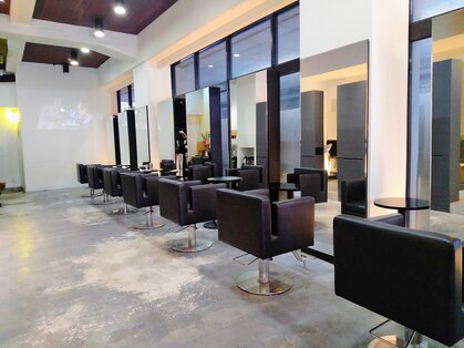 フィルム(film)の写真