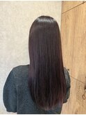 ブリーチなしピンクラベンダー