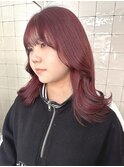 【iam】wine red