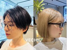 ベシック(VECHIC)