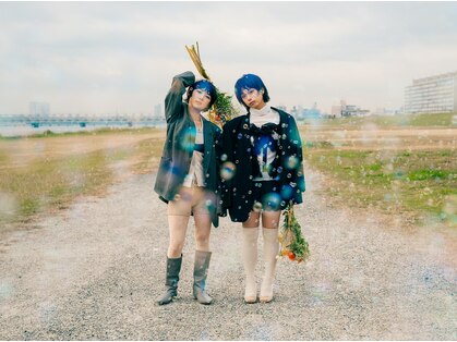 カフ(CAF)の写真