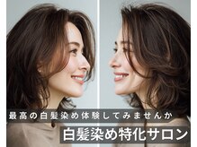 ステラ 越谷店(STELLA)