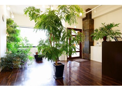 ゲッカガーデン たまプラーザ(gecca garden)の写真