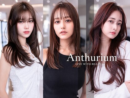 アンスリウム 箕面萱野(Anthurium)の写真