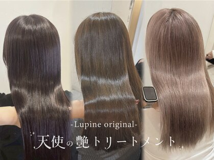 ルピナス(Lupine.)の写真