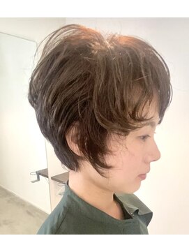 アナログノイ(analog noi) 美フォルムショート