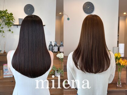 ミレナ(Milena)の写真