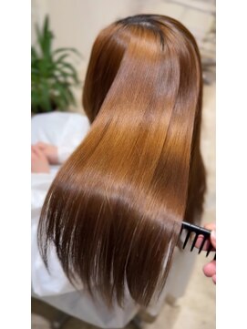 ランド(LAND) 乾かしただけでツヤサラすとん