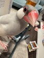 ドゥジエム マエル(2e Maelle)&nbsp;文鳥のそぼろです