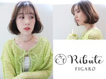 ショートカットの秘訣☆2☆　後頭部の丸み・鉢周りのハリ