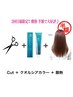 【2回目限定♪髪質改善TR半額】カット+クオルシアカラー+髪質改善TR