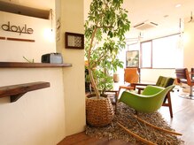 ヘアードイル(hair doyle)