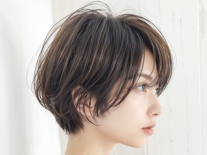 カリーナ(Carina)の写真