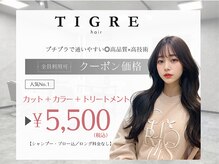 ティグル テンジン(TIGRE tenjin)