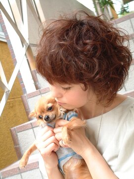 コムチュヴ(Comme tu veux) わたあめのようなエアリースタイル