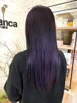 ビアンカ カマクラ(bianca)&nbsp;《ブルーラベンダー》