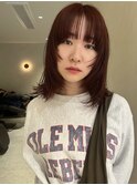 レイヤーカット/顔周り・フェイス/20代/30代/ウルフ/シャギー