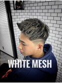 ホワイトメッシュ