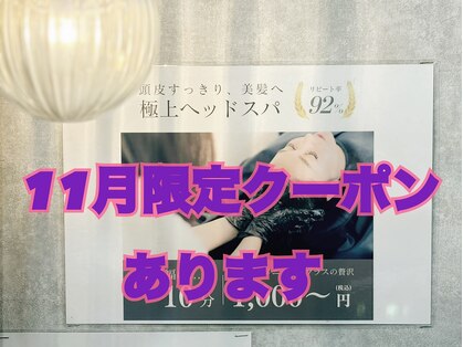 ハナ(Hana)の写真