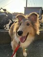 ワーズ フウ(Words-fuu) 月一でワンコと戯れてます