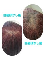 ユーフォルムギンザ(y-Forme Ginza)&nbsp;カラーエステ♪