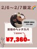 2/6、2/7ASUKA限定　至福のヘッドスパ￥7,360※電話予約必須
