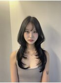 韓国ヘア/レイヤーカット/髪質改善