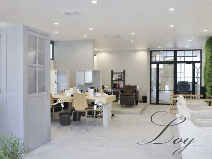 ロイ(Loy)の写真