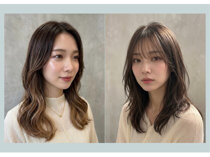 ステラー(Stellar)の写真