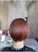 ☆アプリコット
