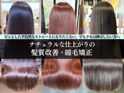 フォルテミラ(FORTE MILA)の写真