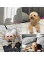 ルアナ 梅田店(Luana) 愛犬のラテちゃん