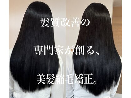 セラ(SERA)の写真