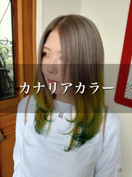 セレソンのカナリア、毛先に仕込んであります◎