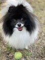 コルト 長津田店(Colt by cotton)&nbsp;実家の愛犬[長津田]