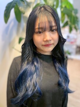 ジエクト ヴィシア(The Ect VIXIA) 裾カラー/ブルーカラー/グラデーションカラー