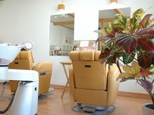 ウォームス(Warmth)