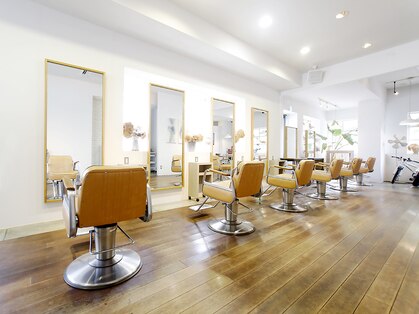 トリトンヘアー(TRITON HAIR)の写真