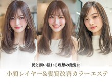ダブル(W)