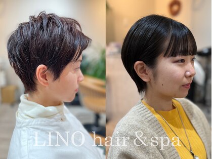 リノ(LINO)の写真