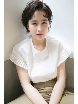 プレディカ(pledica) ai2152