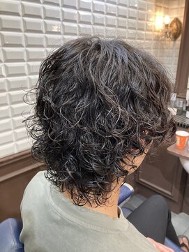 ルピナス 中田(Lupinus) サーフカール