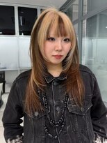 ノラ シンディ(NORA CYNDY) ブロックカラー デザインカラー セクションカラー レイヤー