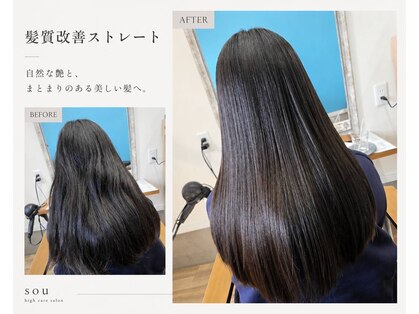 ソウ(sou)の写真