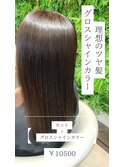 極ツヤ☆グロスシャインカラー